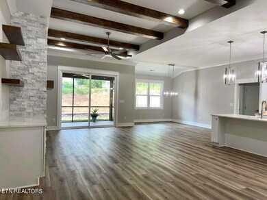 311 Cheeyo Ln, Loudon, TN 37774 - photo 7