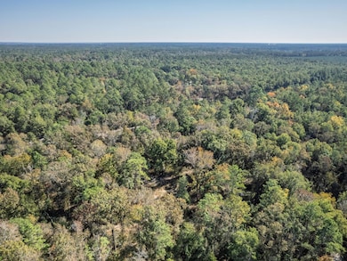 9412 Ranchero Rd, Tallahassee, FL 32305 - photo 5