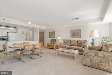 50 Wilmington Ave unit 103, Rehoboth Beach, DE 19971 - photo 6