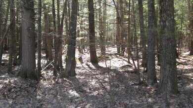 Lot 280-A Ray Rd, Henniker, NH 03242 - photo 6