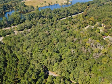 8715 Massey Lake Rd, Silsbee, TX 77656 - photo 4