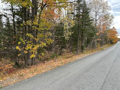 0 Silvers Mills Rd unit LotWP001 23320211, Sangerville, ME 04479 - photo 6