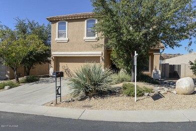 Alpine Front and Side Yards