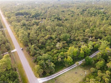 34th Se Ave, Naples, FL 34117 - photo 6