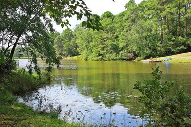 Back Yard Lake