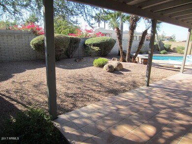 Desert designed back yard landscape