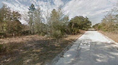 Lot 3&4 NE 104th Ct, East Bronson, FL 32621 - photo 2