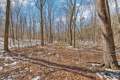 Ground Photo