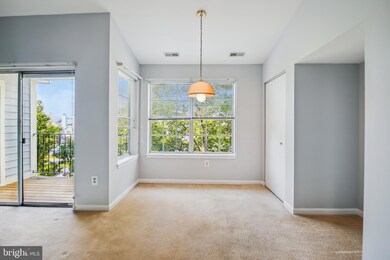 6603 Rapid Water Way unit 304, Glen Burnie, MD 21060 - photo 6