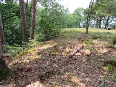 73 Brighton Pointe Ln, Heber Springs, AR 72543 - photo 6