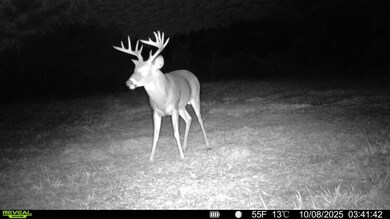 19732 State Hwy E, Eagle Rock, MO 65641 - photo 6