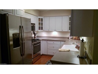 All new Kitchen with Cabinet lighting , Stainless 