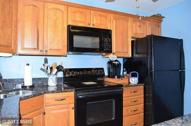 35 Victoria Falls Ct, Sparks Glencoe, MD 21152 - photo 6