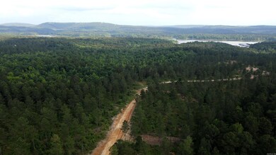 TBD the Plantation Rd, Kirby, AR 71950 - photo 7