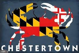 100 Metcalf Rd, Chestertown, MD 21620 - photo 3