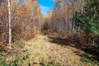 Driveway continued