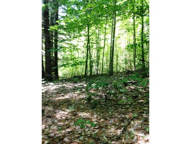 0 Miller Rd, Dalton, NH 03598 - photo 6