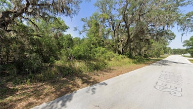 0 SE 92nd Ct, Summerfield, FL 34491 - photo 2