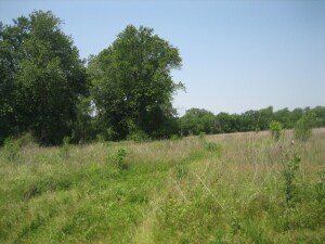 IMG_1051