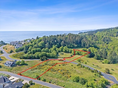 1-DJI_20250617162745_0102_D_DJI copy