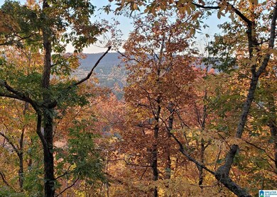 438 Stonegate Dr, Birmingham, AL 35242 - photo 5