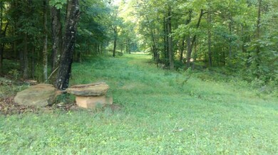 17696 Hutchens Rd, Winslow, AR 72959 - photo 3