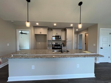 Kitchen featuring an island with sink, dark hardwo