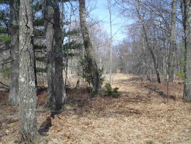 00 County Road H, Cutler, WI 54618 - photo 4