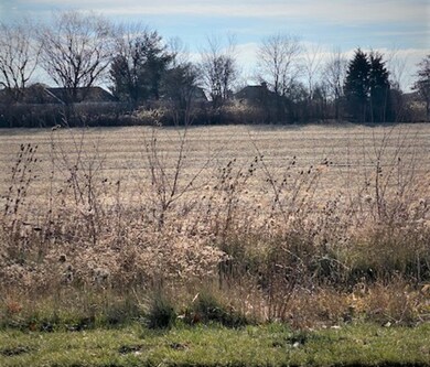 15355 W 159th St, Lockport, IL - photo 5