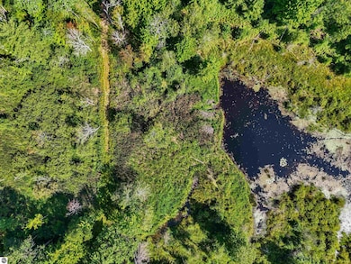 00 W Arnold Rd, Manton, MI 49663 - photo 3