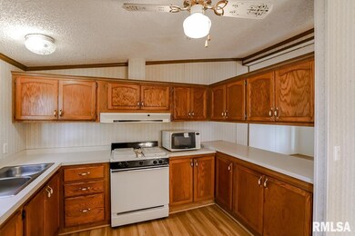 11 Pinewood Estate, Chillicothe, IL 61523 - photo 5