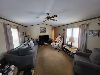 9226 Elsie Ave, Bear Lake, MI 49614 - photo 2