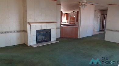 4313 Boyd Dr, Carlsbad, NM 88220 - photo 7