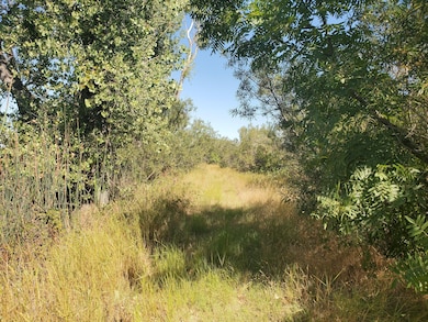 10588 W Rindge Rd, Stockton, CA 95202 - photo 4