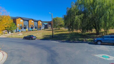 170 Metz Ln, Durango, CO 81301 - photo 5