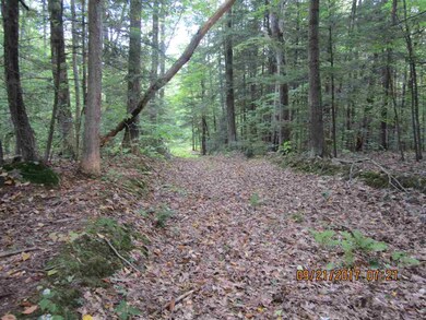 0 Cobble Hill Rd unit 4660547, Swanzey, NH 03446 - photo 3