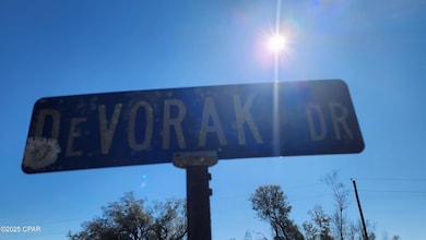 6073 Devorak Dr, Marianna, FL 32446 - photo 2