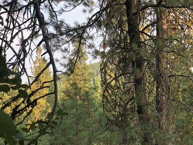 Mountain View Thru the Trees
