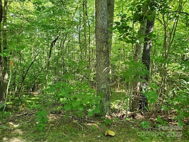 00 Staton Ridge Rd, Saluda, NC 28773 - photo 5