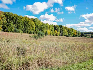 TBD Jaquay Rd, Boyne City, MI 49712 - photo 7
