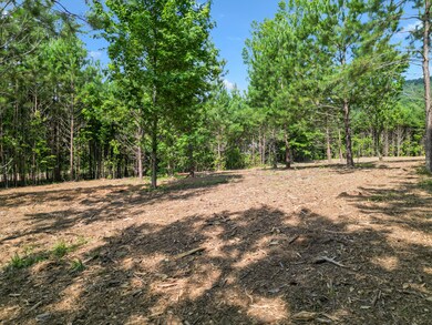 5289 McDonald Rd, McDonald, TN 37353 - photo 6