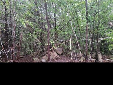 View of nature