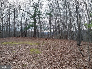 0 Hawks Nest Lot 9 unit WVMO117532, Hedgesville, WV 25427 - photo 2