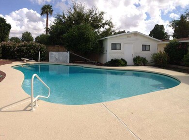 Huge Diving Pool