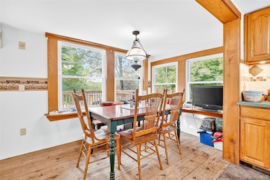 46 Neversink Dr, Port Jervis, NY 12771 - photo 6