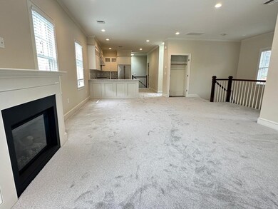 17 Davis Ave unit 2, Brookline, MA 02445 - photo 6