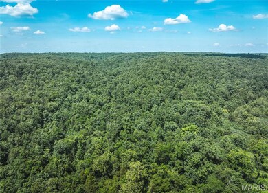 0 Highway B 51 unit MAR24075681, Ellington, MO 63638 - photo 2