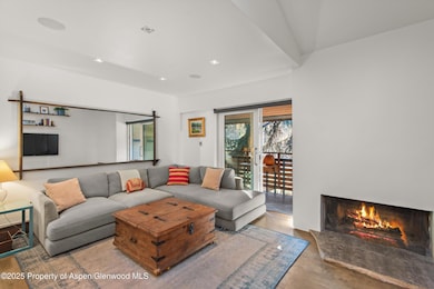 910 W Hallam St unit 11, Aspen, CO 81611 - photo 4