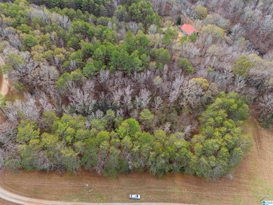 Lot 12 County Road 219, Piedmont, AL 36272 - photo 4