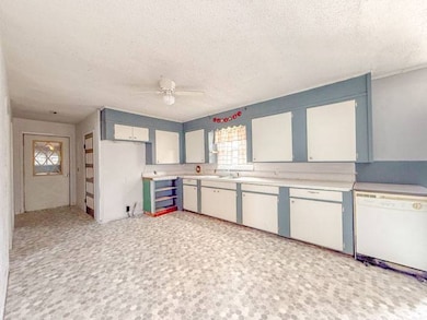 300 E Clay St, Pleasant Hill, IL 62366 - photo 6